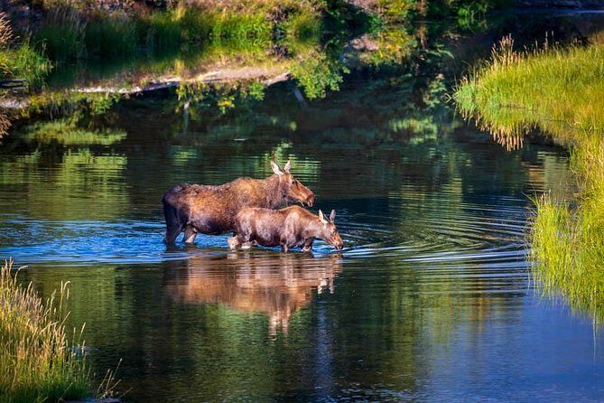 Half Day Group Sunset Wildlife Safari - FAQ about the Sunset Wildlife Safari