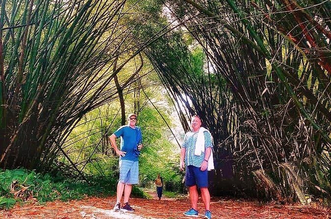 Half Day Group Tour to Tobago Atlantic Coast - Frequently Asked Questions