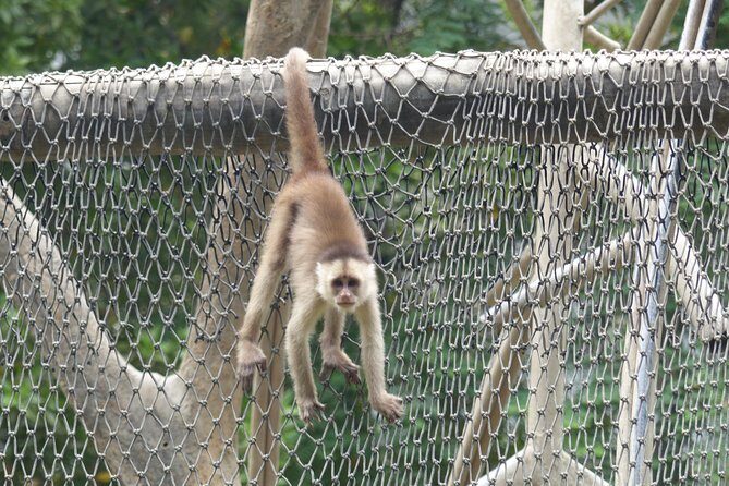 Half Day Guayaquil History Tour and Ecuadorian Cuisine with Cocoa - Exploring Guayaquil in Half a Day: A Deep Dive