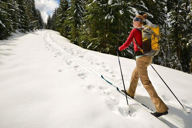 Half-Day Guided Backcountry Ski Touring Experience near Incline Village - Key Points