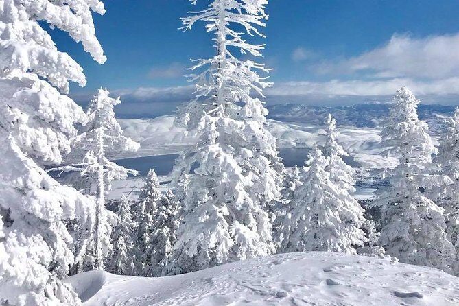 Half-Day Guided Backcountry Ski Touring Experience near Incline Village - An Authentic Taste of Tahoe’s Winter Wilderness