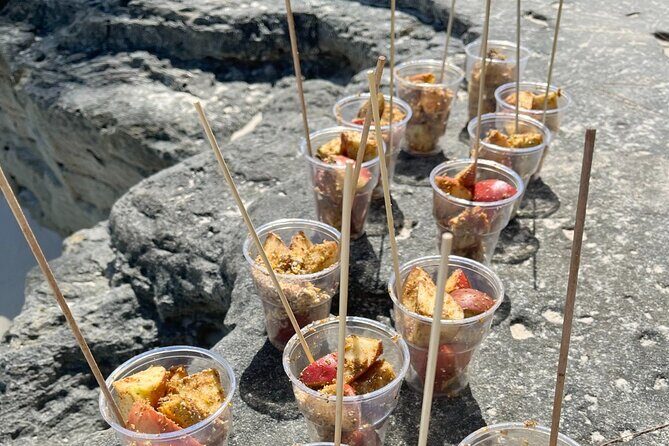 Half-Day Guided Boat Tour of Nassau Harbour and Rose Island - Key Points