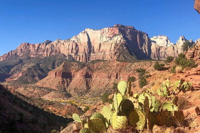 Half Day Guided Hike in Zion National Park - Who Should Consider This Tour?