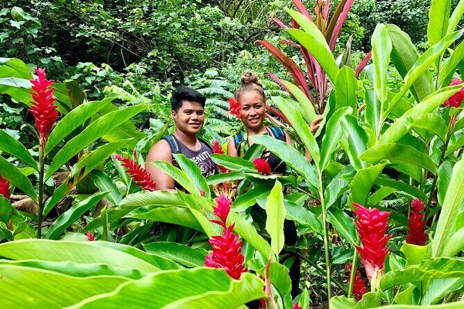 Half-Day Guided Hike to Afareaitu Waterfall - A Closer Look at the Experience