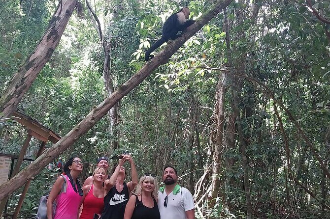 Half Day Guided Hiking at Manuel Antonio National Park - What to Expect During the Tour