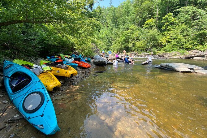 Half-Day Guided Kayaking in the Smoky Mountains of Tallassee - A Detailed Look at the Kayaking Tour in Tallassee
