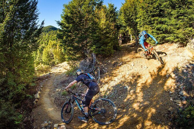 Half Day Guided Mountain Biking Adventure in Nelson - Getting to Know the Nelson Mountain Biking Experience
