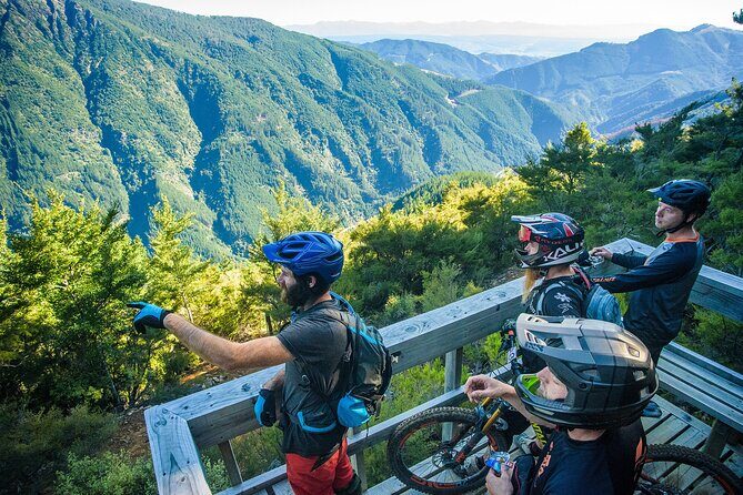Half Day Guided Mountain Biking Adventure in Nelson - The Trails and Stops: A Closer Look