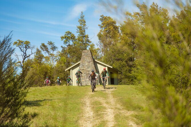 Half Day Guided Mountain Biking Adventure in Nelson - Who Will Love This Tour?