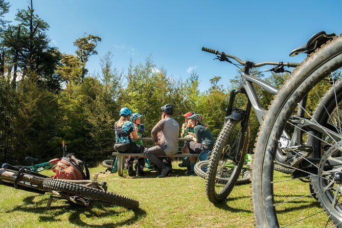 Half Day Guided Mountain Biking Adventure in Nelson - The Sum Up
