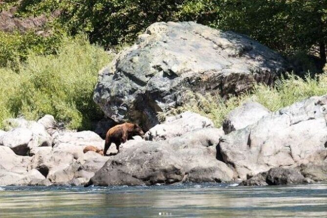 Half Day Guided Rafting Excursion in Wallowa River - Key Points
