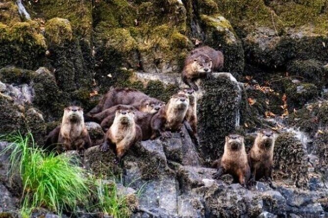 Half Day Guided Rafting Excursion in Wallowa River - FAQs