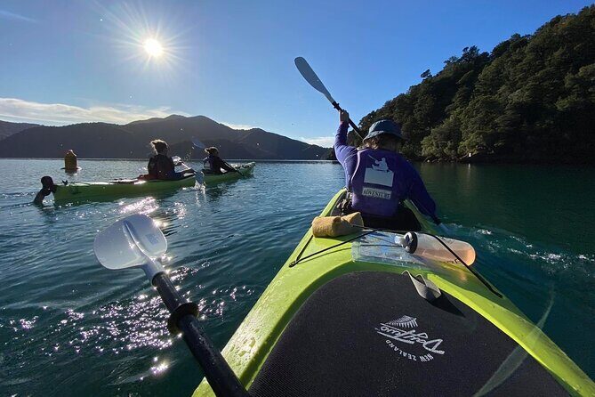 Half-Day Guided Sea Kayak Trip from Picton - Frequently Asked Questions