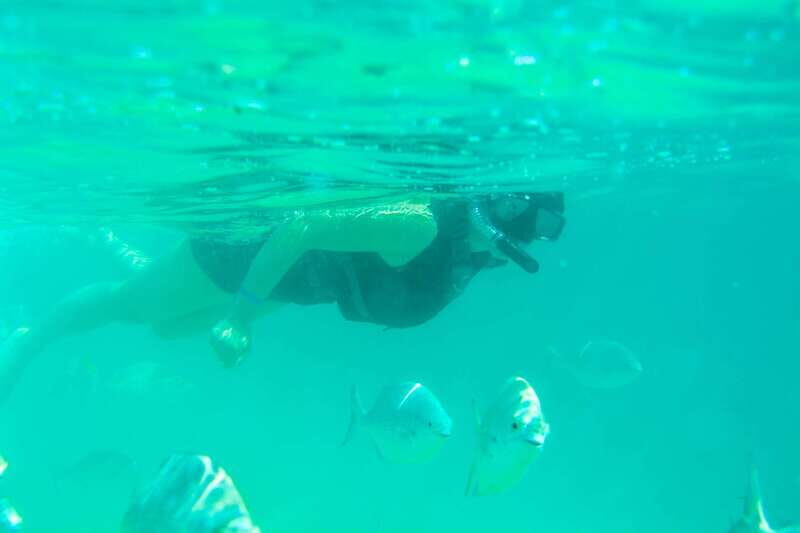 Half Day Guided Snorkel Tour in Los Cabos - Key Points