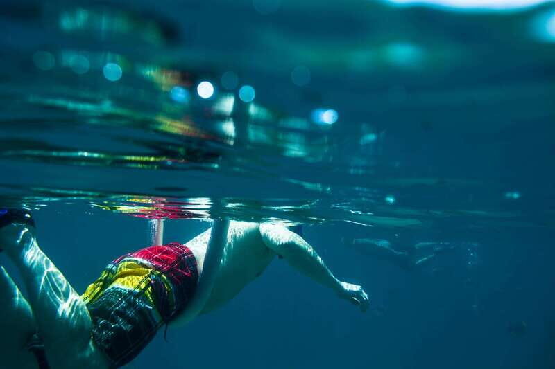 Half Day Guided Snorkel Tour in Los Cabos - An In-Depth Look at the Tour Experience