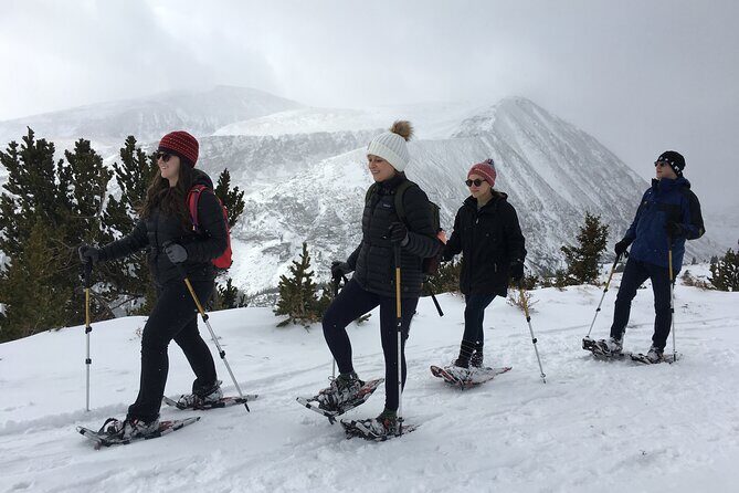 Half Day Guided Snowshoe Tour Near Breckenridge - Key Points