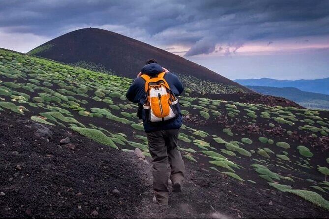 Half Day Guided Tour in Mount Etna (3000 meters) - A Closer Look at the Mount Etna Tour