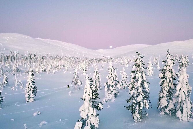 Half Day Guided Tour in the Wilderness of Levi - An Authentic Arctic Adventure in Levi: Half Day Guided Wilderness Tour