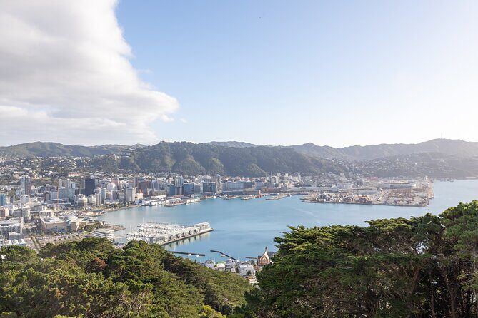 Half Day Guided Tour in Wellington including Cable Car - Coastal Drive and Lyall Bay