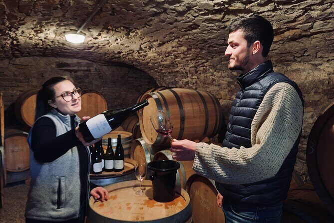 Half-day guided tour on the Burgundy wine Route in a classic car - Who Should Consider This Tour?