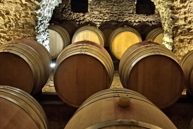 Half-Day Guided Tour with Tasting of Beaujolais Wines - A Deep Dive into the Beaujolais Wine Tour Experience