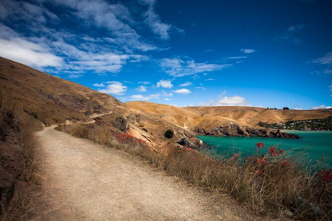 Half Day Guided Walking Tour on Banks Peninsula - Why This Tour Offers Good Value