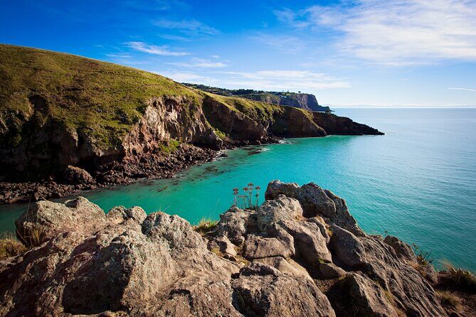 Half Day Guided Walking Tour on Banks Peninsula - Final Thoughts: Who Will Love This Tour?