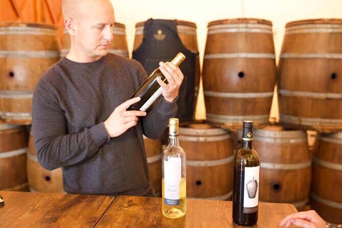 Half-Day Guided Wine Tasting Tour in Bordeaux Vineyards - Final Thoughts