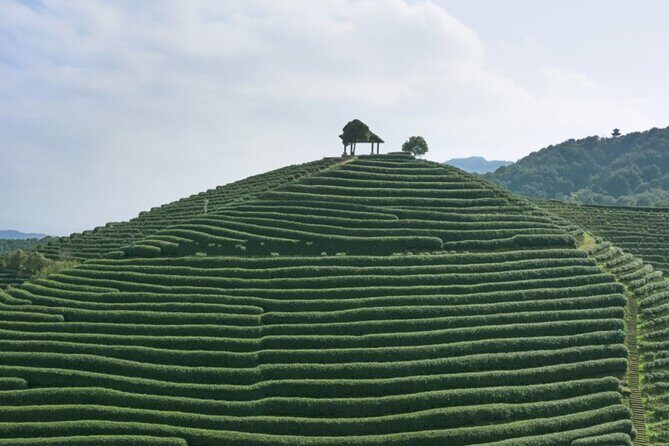 Half-Day Hangzhou Jiuxi Stream and Tea Plantation Experience - Authenticity and Authentic Experiences