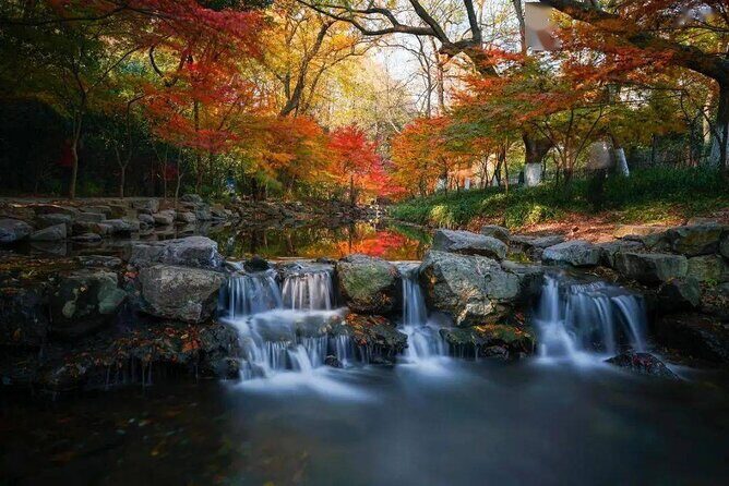 Half-Day Hangzhou Jiuxi Stream and Tea Plantation Experience - Who Should Consider This Tour?