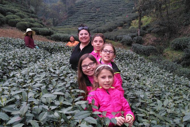 Half-Day Hangzhou Private Tour with Green Tea Village and Lingyin Temple - In-Depth Review of the Half-Day Hangzhou Tour