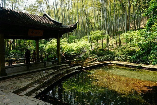 Half-Day Hangzhou Yunxi Bamboo Forest and Tea Plantation Experience - An Authentic Half-Day Escape to Hangzhou’s Bamboo and Tea Cultures