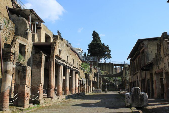 Half Day Herculaneum from Sorrento - FAQ About the Herculaneum Tour