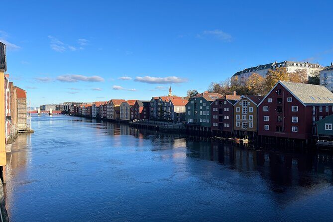 Half-Day Highlights of Trondheim by Bus and City Walk - In-Depth Review of the Trondheim Highlights Tour