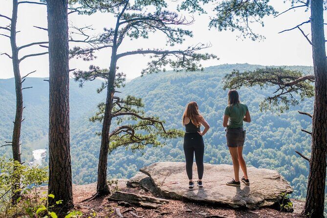 Half Day Hike in New River Gorge National Park & Preserve - A Detailed Exploration of the New River Gorge Guided Hike