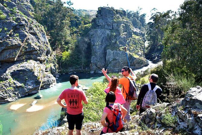 Half-day Hike & Picnic with Dog Love in Porto's Mountains - Key Points