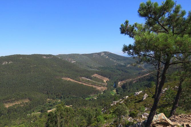 Half-day Hike & Picnic with Dog Love in Porto's Mountains - The Experience for Different Travelers
