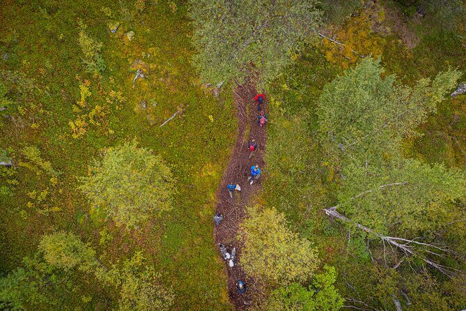 Half Day Hike To Orvvosfossen Waterfall - A Practical Guide to the Half Day Hike to Orvvosfossen Waterfall