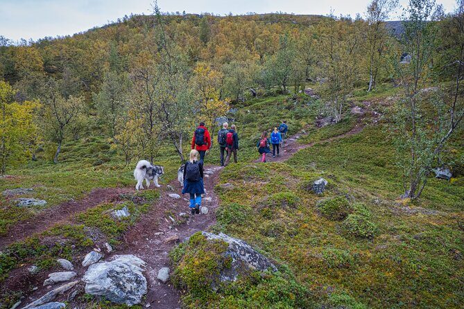 Half Day Hike To Orvvosfossen Waterfall - Key Points