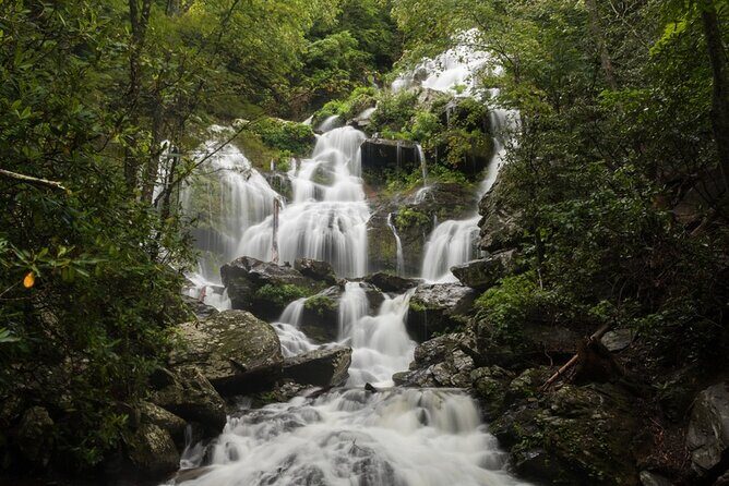 Half Day Hike - Water Falls - Discover Asheville’s Waterfalls on a Guided Half-Day Hike