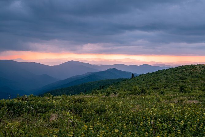 Half-Day Hike with Long Range Views from Asheville - An In-Depth Look at the Asheville Half-Day Hike