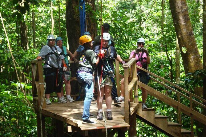 Half-Day Hiking Adventure with Aerial Tram & Zipline in St Lucia - Key Points