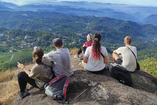 Half Day Hiking in Munnar Trekking Tour - A Guided Trek Through Munnar’s Tea Country: What You Need to Know