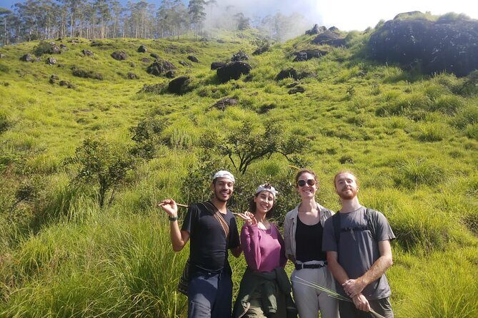 Half Day Hiking in Munnar Trekking Tour - Key Points