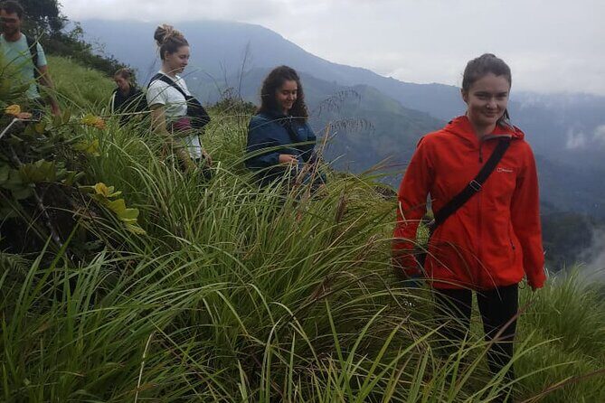 Half Day Hiking in Munnar Trekking Tour - Who Should Consider This Tour?