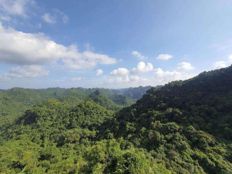 Half Day Hiking to Cat Ba National Park with a Guide - Key Points