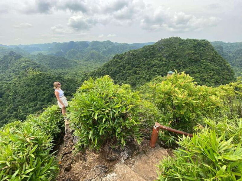 Half Day Hiking to Cat Ba National Park with a Guide - Final Thoughts: Is It Worth It?
