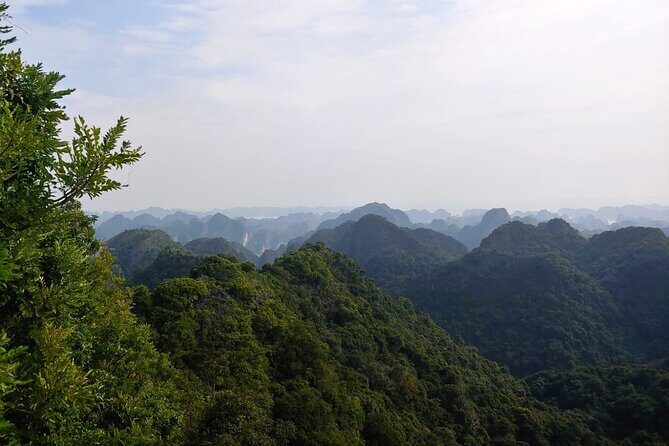 Half Day Hiking to Discover Cat Ba National Park with a Guide - Discovering Cat Ba National Park: A Guided Half-Day Hike