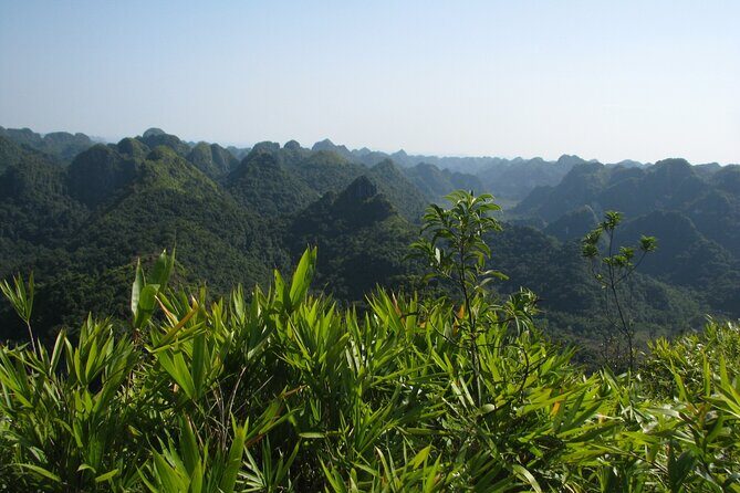 Half Day Hiking to Discover Cat Ba National Park with a Guide - Who Will Love This Tour?