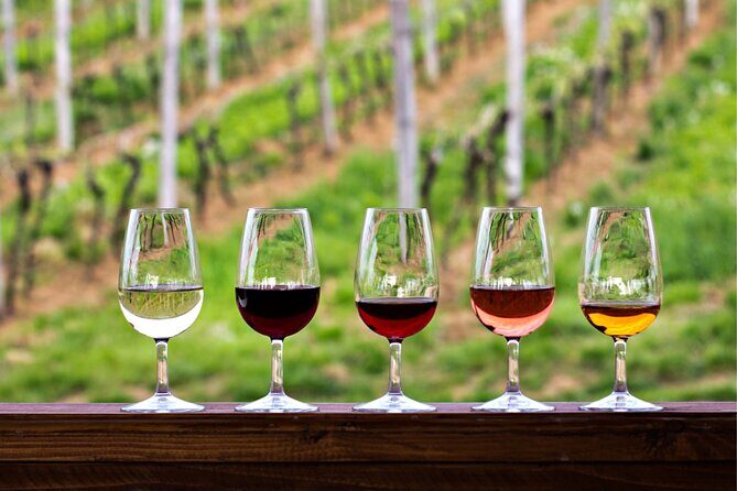 Half-Day Hill Country Wine Shuttle From Austin - A Relaxed Taste of Texas Hill Country: Half-Day Wine Shuttle from Austin